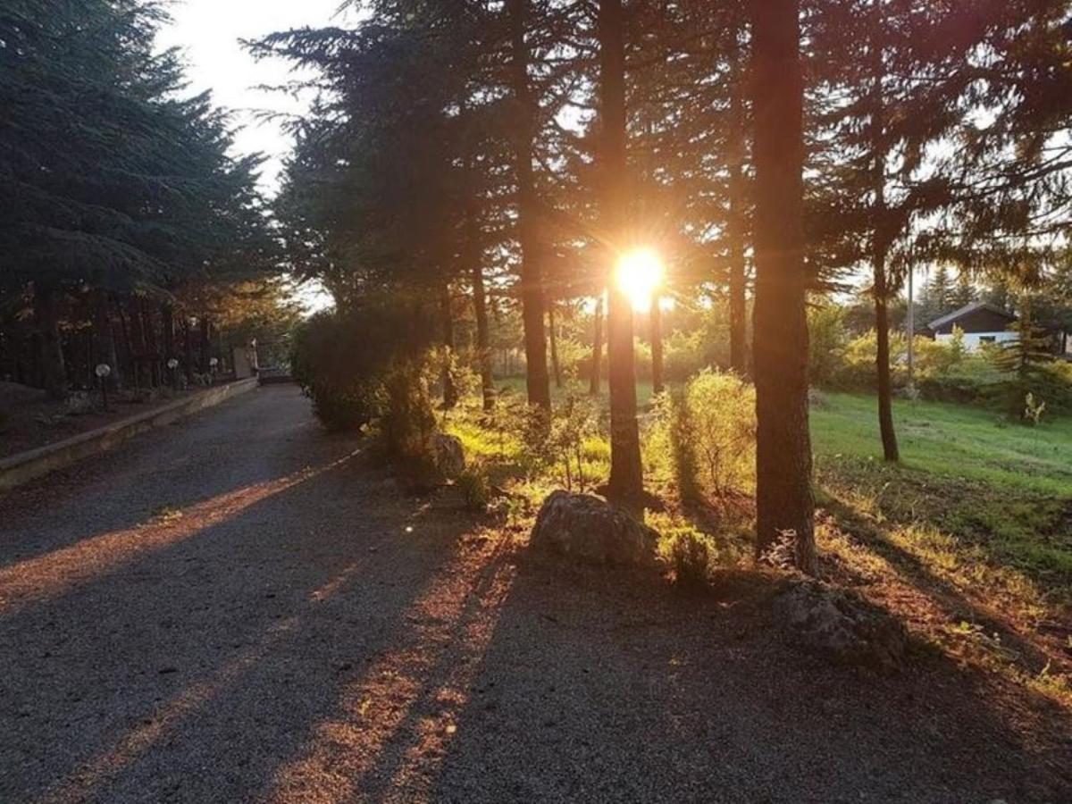Le Conifere Daire Pignola Dış mekan fotoğraf