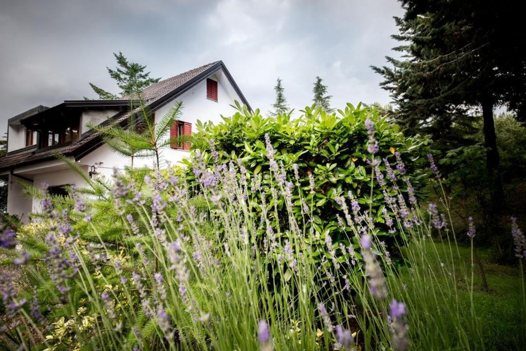 Le Conifere Daire Pignola Dış mekan fotoğraf