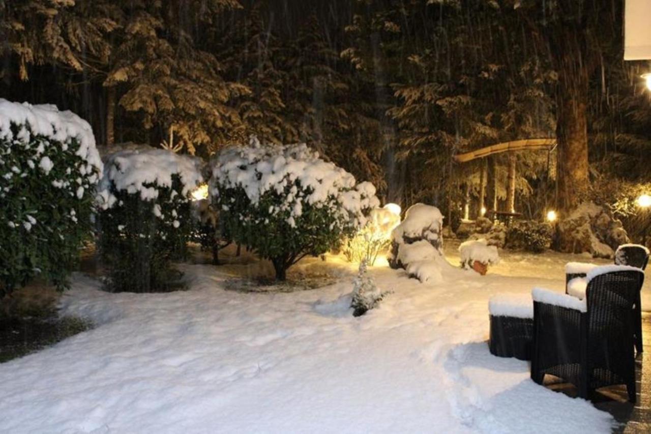 Le Conifere Daire Pignola Dış mekan fotoğraf