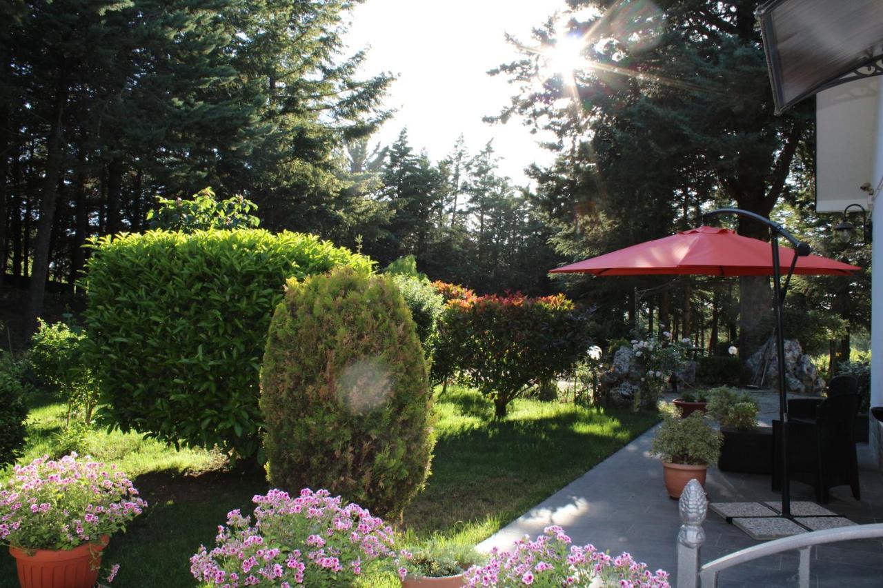 Le Conifere Daire Pignola Dış mekan fotoğraf