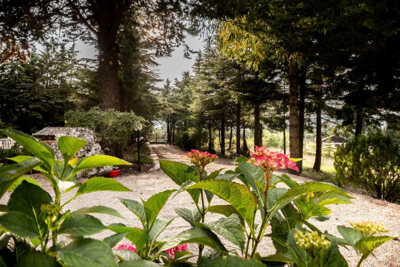 Le Conifere Daire Pignola Dış mekan fotoğraf