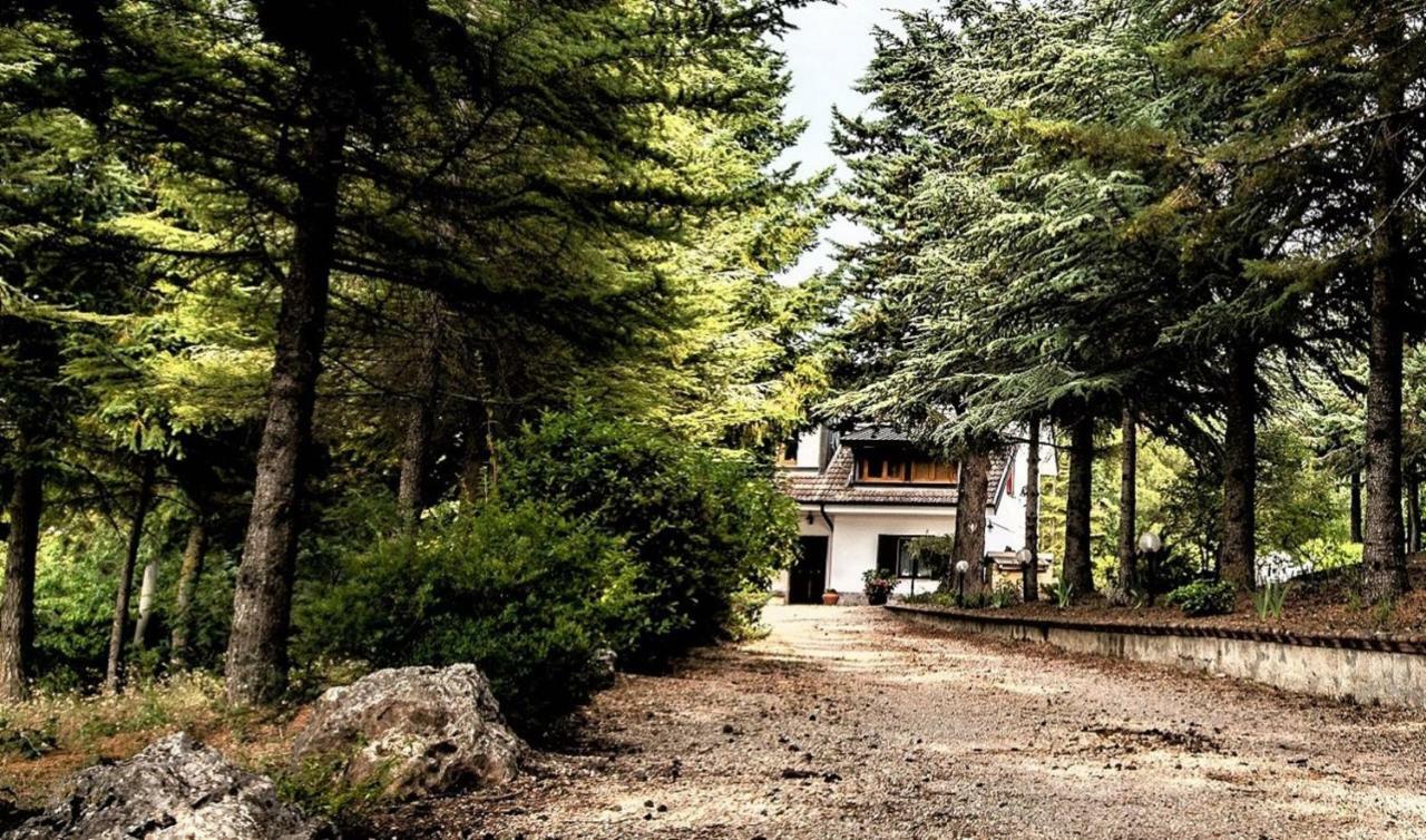 Le Conifere Daire Pignola Dış mekan fotoğraf